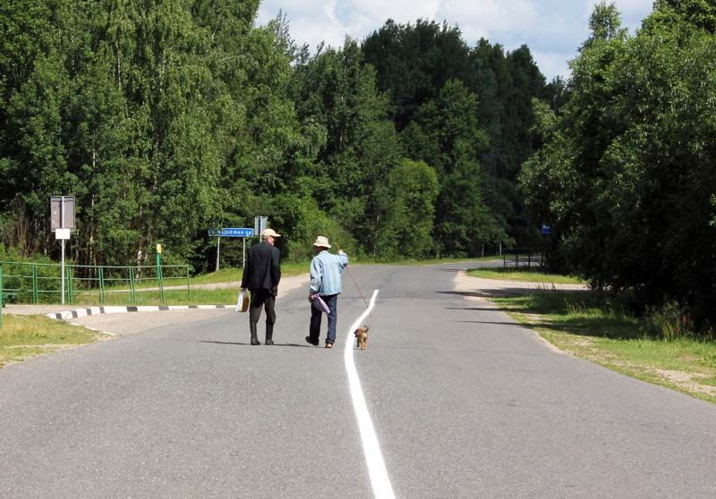 Архимед мухамбетов. последние новости